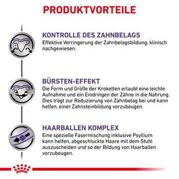 Royal Canin Dental Trockenfutter für Katzen Royal Canin Dental Trockenfutter für Katzen