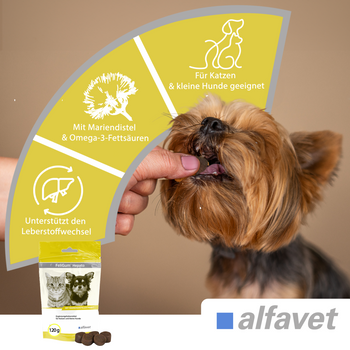 alfavet FeliGum Hepato für Hund und Katze alfavet FeliGum Hepato für Hund und Katze