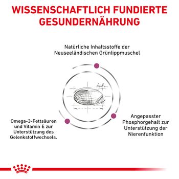 Royal Canin Mobility Trockenfutter für Katzen Royal Canin Mobility Trockenfutter für Katzen