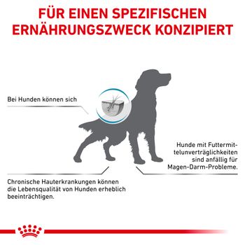 Royal Canin Anallergenic Trockenfutter für Hunde
