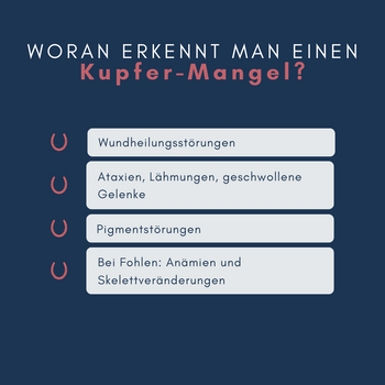 Navalis Orthosal Kupfer Horse für Pferde