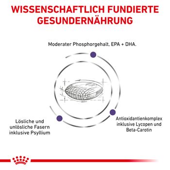 Royal Canin Mature Consult Balance Trockenfutter für Katzen