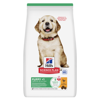 Hills Science Plan Canine Hund Puppy Large Breed Huhn Trockenfutter