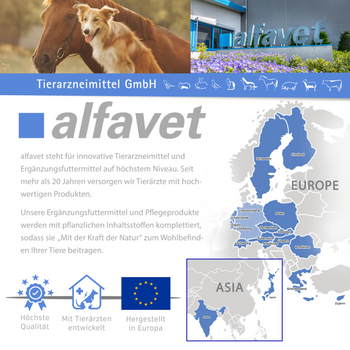 alfavet FeliGum Dia für Katzen