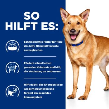 Hills i/d Trockenfutter für Hunde