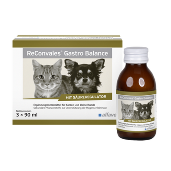 Alfavet ReConvales Gastro Balance