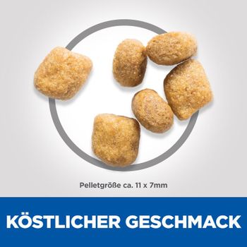 Hills Science Plan Feline Oral Care Adult Trockenfutter mit Huhn