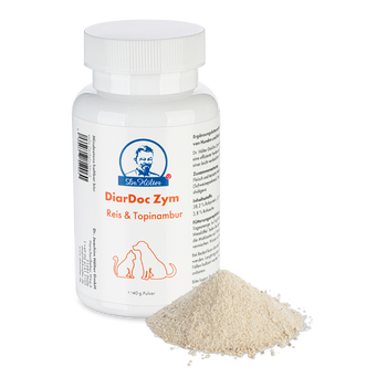 Dr. Hölter DiarDoc Zym