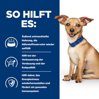 Hills i/d Ragout in kleinen Dosen für Hunde