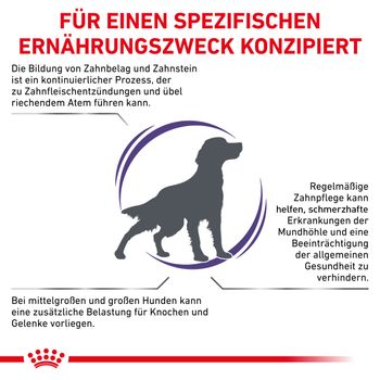 Royal Canin Dental Medium & Large Dogs Trockenfutter für Hunde