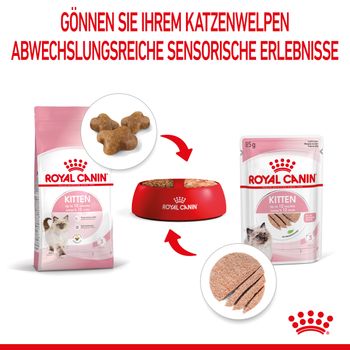 Royal Canin Kitten Frischebeutel Mousse