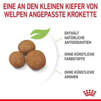 Royal Canin Maxi Puppy Trockenfutter für Welpen großer Rassen