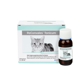 alfavet ReConvales Tonicum Katze alfavet ReConvales Tonicum Katze