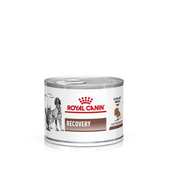 Royal Canin Recovery Ultra Soft Mousse in Dosen für Hunde und Katzen Royal Canin Recovery Ultra Soft Mousse in Dosen für Hunde und Katzen
