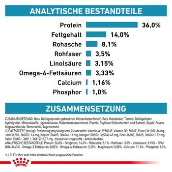 Royal Canin Skin & Coat Trockenfutter für Katzen Royal Canin Skin & Coat Trockenfutter für Katzen