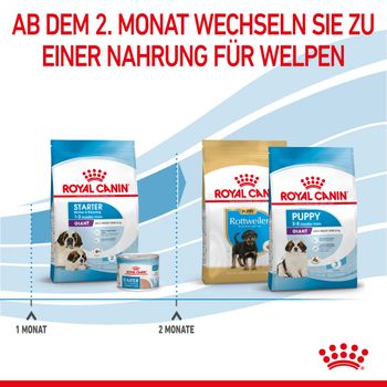 Royal Canin Giant Starter Trockenfutter