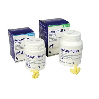 Dechra Redonyl Ultra Kapseln für Hunde und Katzen Dechra Redonyl Ultra Kapseln für Hunde und Katzen