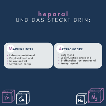 Navalis Heparal Dog für Hunde bei Lebererkrankungen