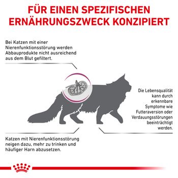 Royal Canin Renal Katzen Trockenfutter