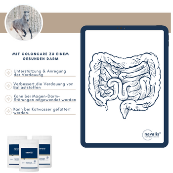Navalis coloncare Pulver für Pferde