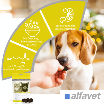 alfavet FeliGum Struvit