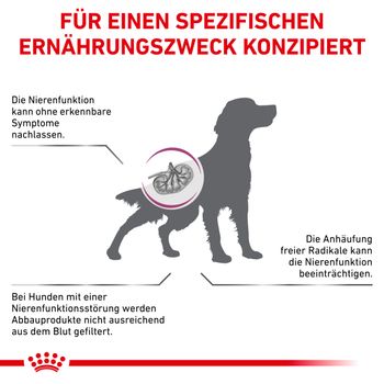 Royal Canin Early Renal Trockenfutter für Hunde