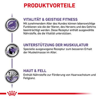 Royal Canin Mature Consult Mousse Frischebeutel für Hunde