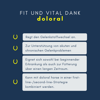 Navalis Doloral Horse fürs Pferd Navalis Doloral Horse fürs Pferd