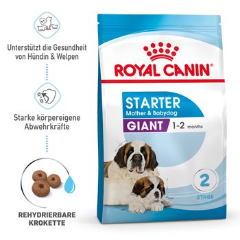 Royal Canin Giant Starter Trockenfutter