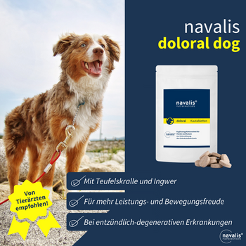 Navalis Doloral Dog Navalis Doloral Dog