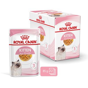Royal Canin Kitten Frischebeutel mit Gelee