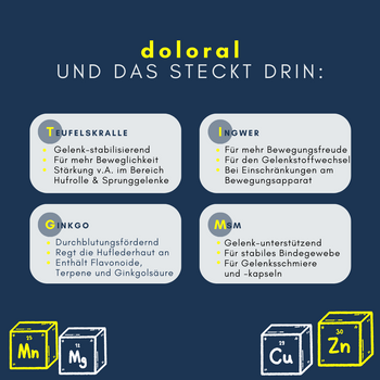 Navalis Doloral Dog Navalis Doloral Dog