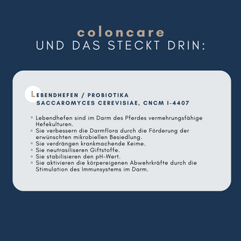 Navalis coloncare Pulver für Pferde