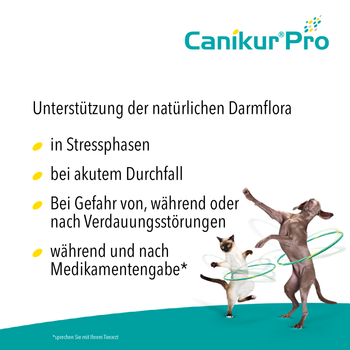 Boehringer Ingelheim Canikur Pro