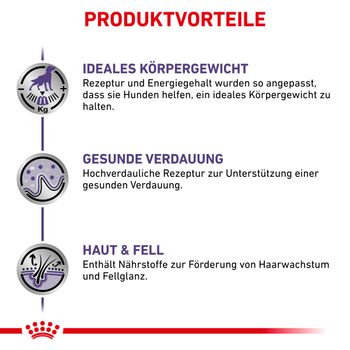 Royal Canin Neutered Adult Feine Stückchen in Soße Frischebeutel für Hunde