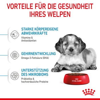 Royal Canin Medium Puppy Trockenfutter für Welpen mittelgroßer Hunderassen Royal Canin Medium Puppy Trockenfutter für Welpen mittelgroßer Hunderassen