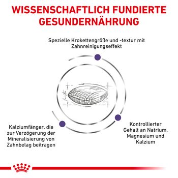 Royal Canin Dental Small Dogs Trockenfutter für Hunde