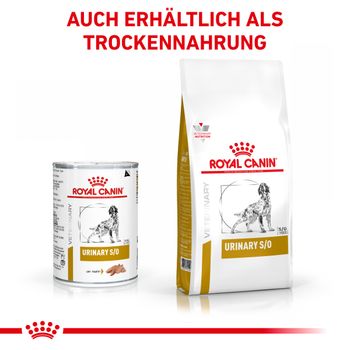 Royal Canin Urinary S/O Mousse Dosenfutter für Hunde