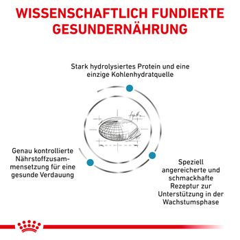 Royal Canin Hypoallergenic Puppy Trockenfutter für Hunde
