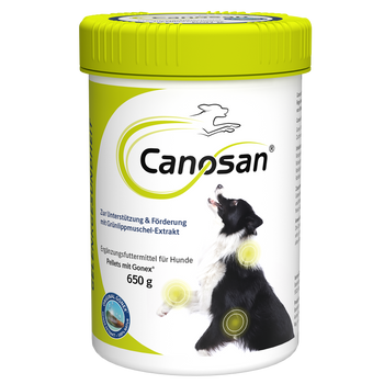Canosan Hund mit Gonex von Boehringer Ingelheim