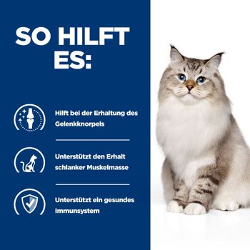 Hills J/D Trockenfutter für Katzen