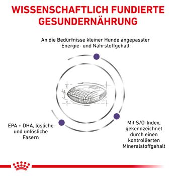 Royal Canin Adult Small Dogs Trockenfutter für Hunde