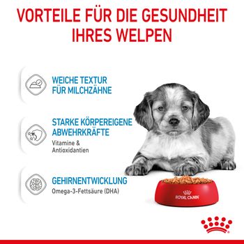 Royal Canin Medium Puppy Frischebeutel in Soße