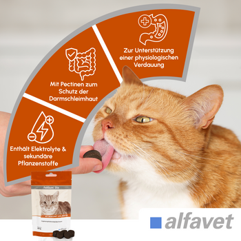 alfavet FeliGum Dia für Katzen