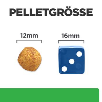 Hills r/d Trockenfutter für Hunde