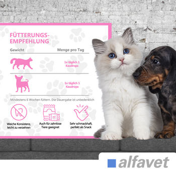 alfavet FeliGum Gingiva für Katzen und kleine Hunde alfavet FeliGum Gingiva für Katzen und kleine Hunde