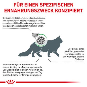 Royal Canin Diabetic Trockenfutter für Katzen Royal Canin Diabetic Trockenfutter für Katzen