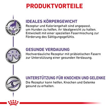 Royal Canin Mature Consult Large Dogs Trockenfutter für Hunde