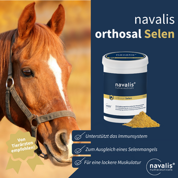 Navalis Orthosal Selen Horse für Pferde
