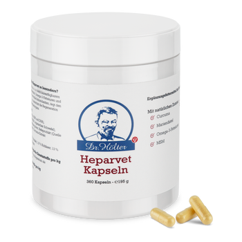 Dr. Hölter Heparvet zur Unterstützung der Leber von Hunden